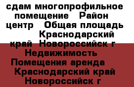 сдам многопрофильное помещение › Район ­ центр › Общая площадь ­ 60 - Краснодарский край, Новороссийск г. Недвижимость » Помещения аренда   . Краснодарский край,Новороссийск г.